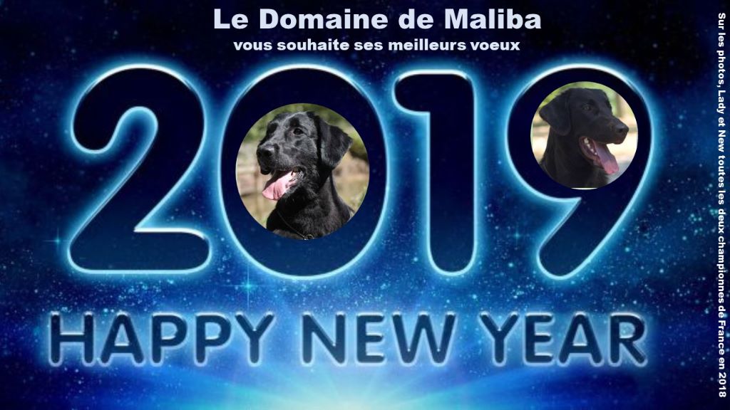 Du Domaine De  Maliba - Bonne Année !