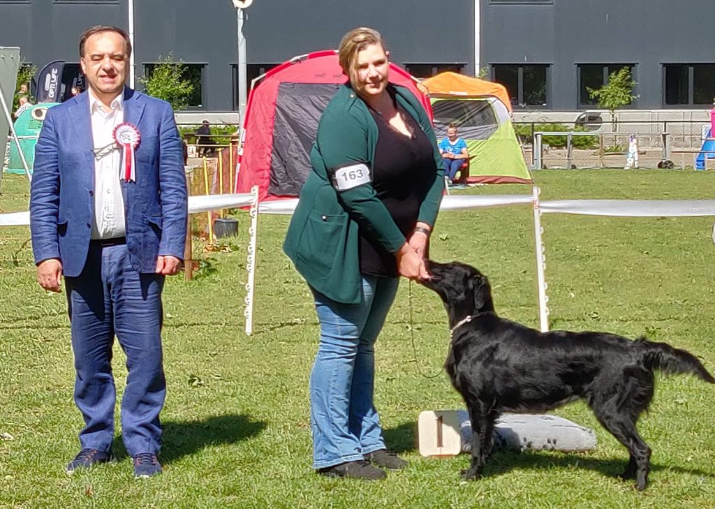 Du Domaine De  Maliba - ONYX Jeune Championne de Belgique de Beauté !