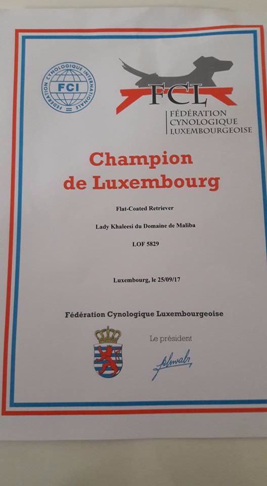 Du Domaine De  Maliba - LADY KHALEESI CHAMPIONNE DU LUXEMBOURG !!!