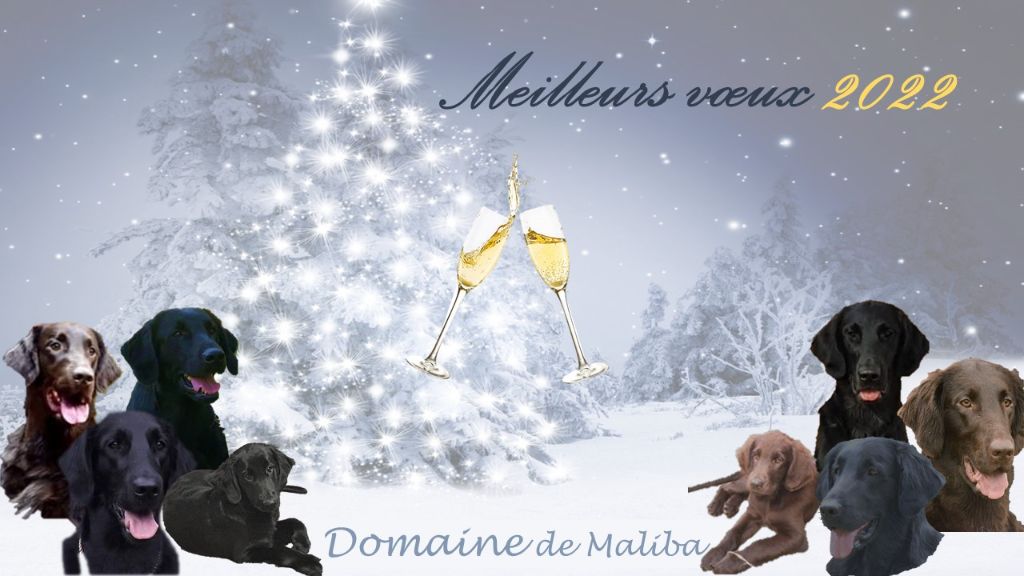 Du Domaine De  Maliba - Voeux 2022