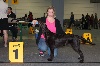  - International Dog Show Luxembourg