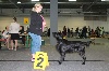  - International Dog Show Luxembourg