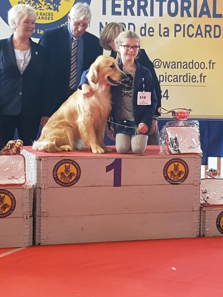 Du Domaine De  Maliba - Valentine gagne le junior handling !